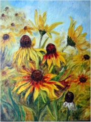 Rudbekie/40*50