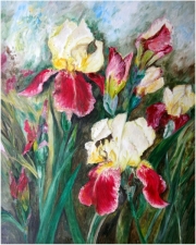 Irysy/50*60