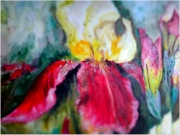 Fragment