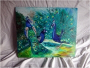 Pawie/60*50