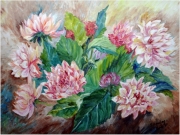 Różowe dalie/50*40