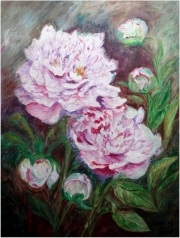 Piwonie/40*50