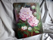 Piwonie/40*50