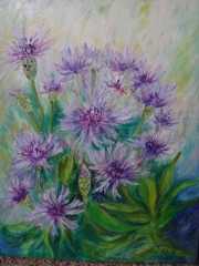 Chabry/40*50