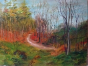 Trójmiejski Park/80*60