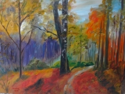 Trójmiejski Park/80*60