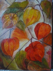 Miechunki z bliska/30*40