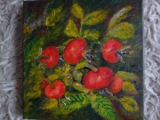 Rosa rugosa/20*20