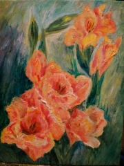 Pastelowe mieczyki/24*30