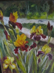 Irysy przy drodze/50*60