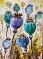 Makówki studium/30*40