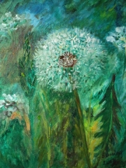 Dmuchawiec/24*30