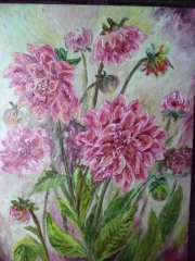 Dalie/30*40