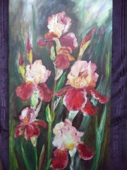 Irysy/30*60