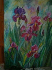 Irysy/50*70
