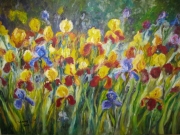 Irysowa łąka/70*50