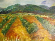 Hiszpania/60*45