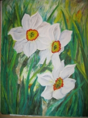Narcyze/45*60