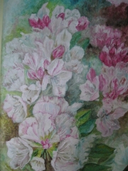 Biała łąka/50*70