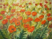 Makowa łąka/70*50