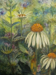 Ostatnia jeżówka/40*50