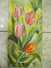 Tulipany/30*60