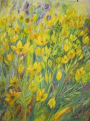 Kaczeńce/40*50