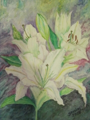 Lilia/30*40