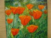 Maczki/20*20