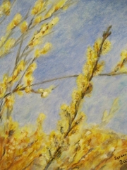 Bazie/24*30