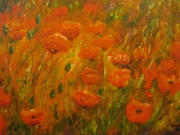 Maki w czerwieni/60*40