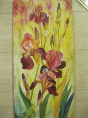 Irysy/30*60