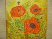 Maki/40*40