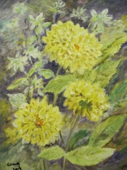 Studium/33*40