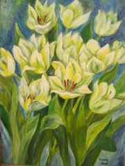 Białe tulipany/40*60