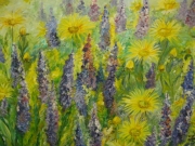 Łubiny/80*60