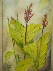 Paciorecznik/40*60