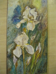 Białe irysy/30*60