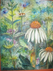 Ostatnia jeżówka/40*50