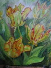Tulipany papuzie/50*60