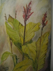 Paciorecznik/40*60