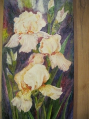 Białe irysy/30*60