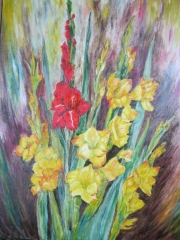 Mieczyki/45*60