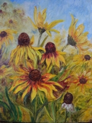 Rudbekie/40*50